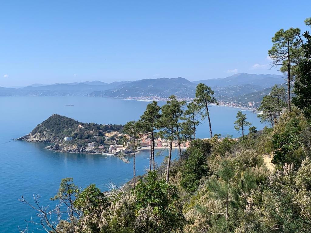 Villa La Pergola Dei Paggi à Sestri Levante Extérieur photo