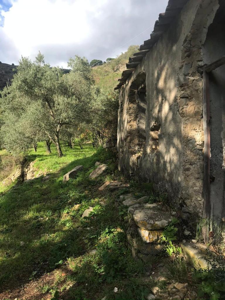 Villa La Pergola Dei Paggi à Sestri Levante Extérieur photo